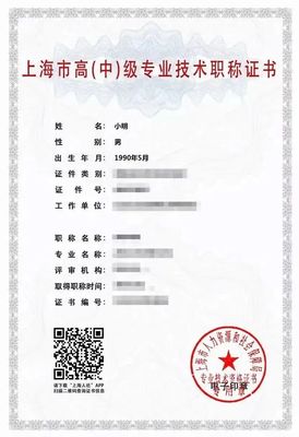 職稱證書丟了怎么辦？手把手教你申領上海電子證書
